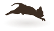 トラッカー発見固定